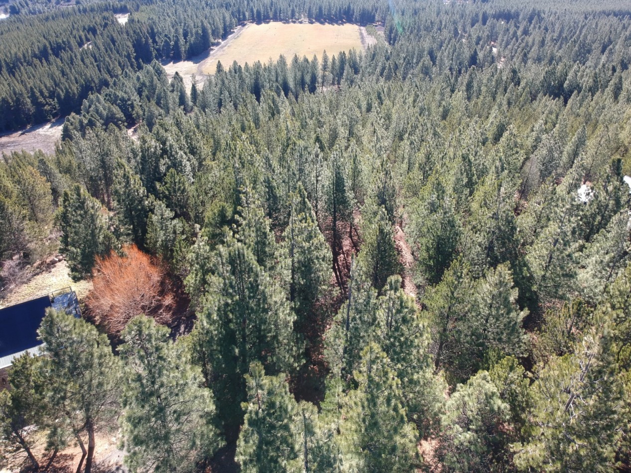 Venta de gran terreno en "El Desafio" San Martin de los Andes, Neuquen