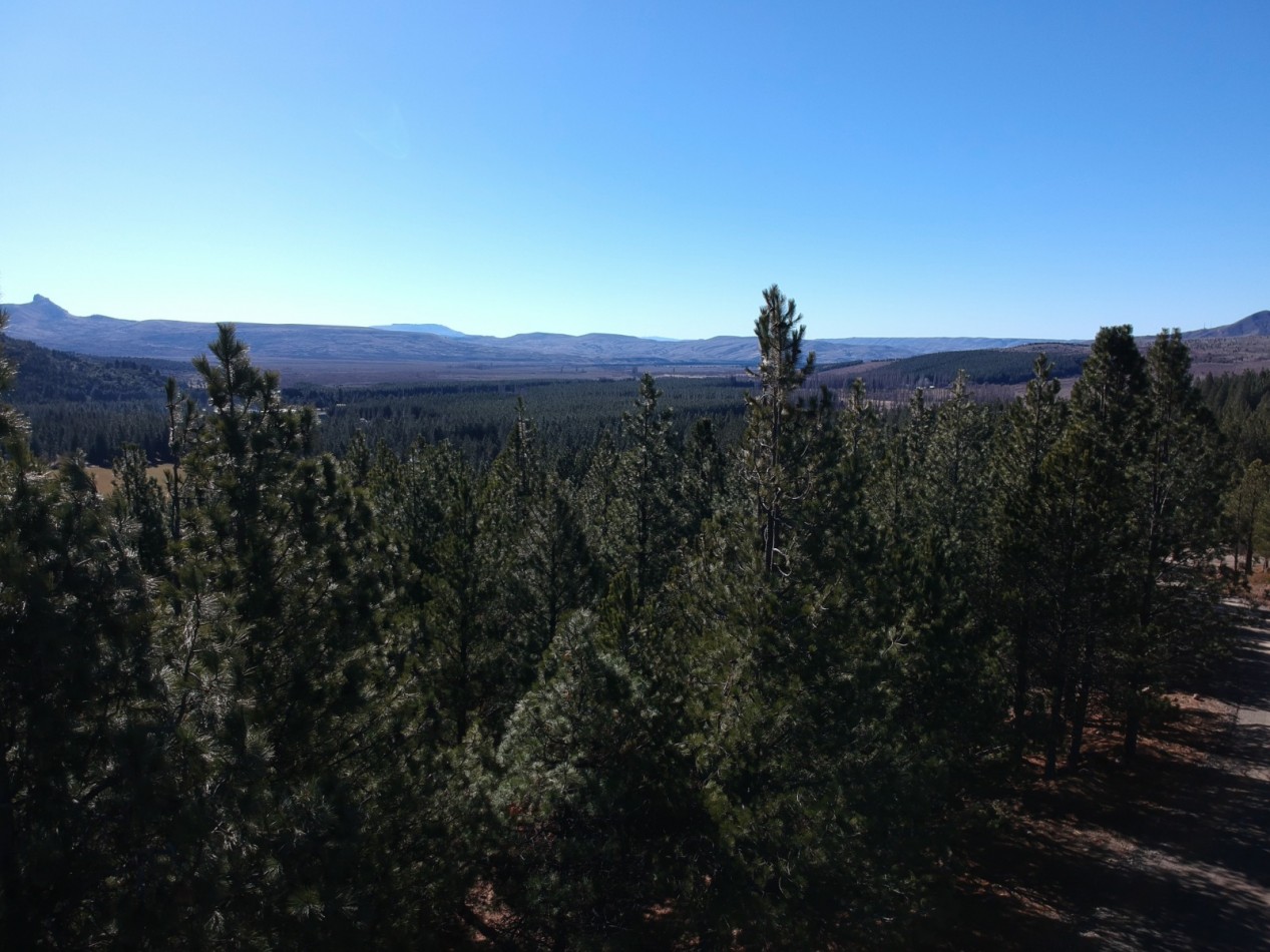 Venta de gran terreno en "El Desafio" San Martin de los Andes, Neuquen