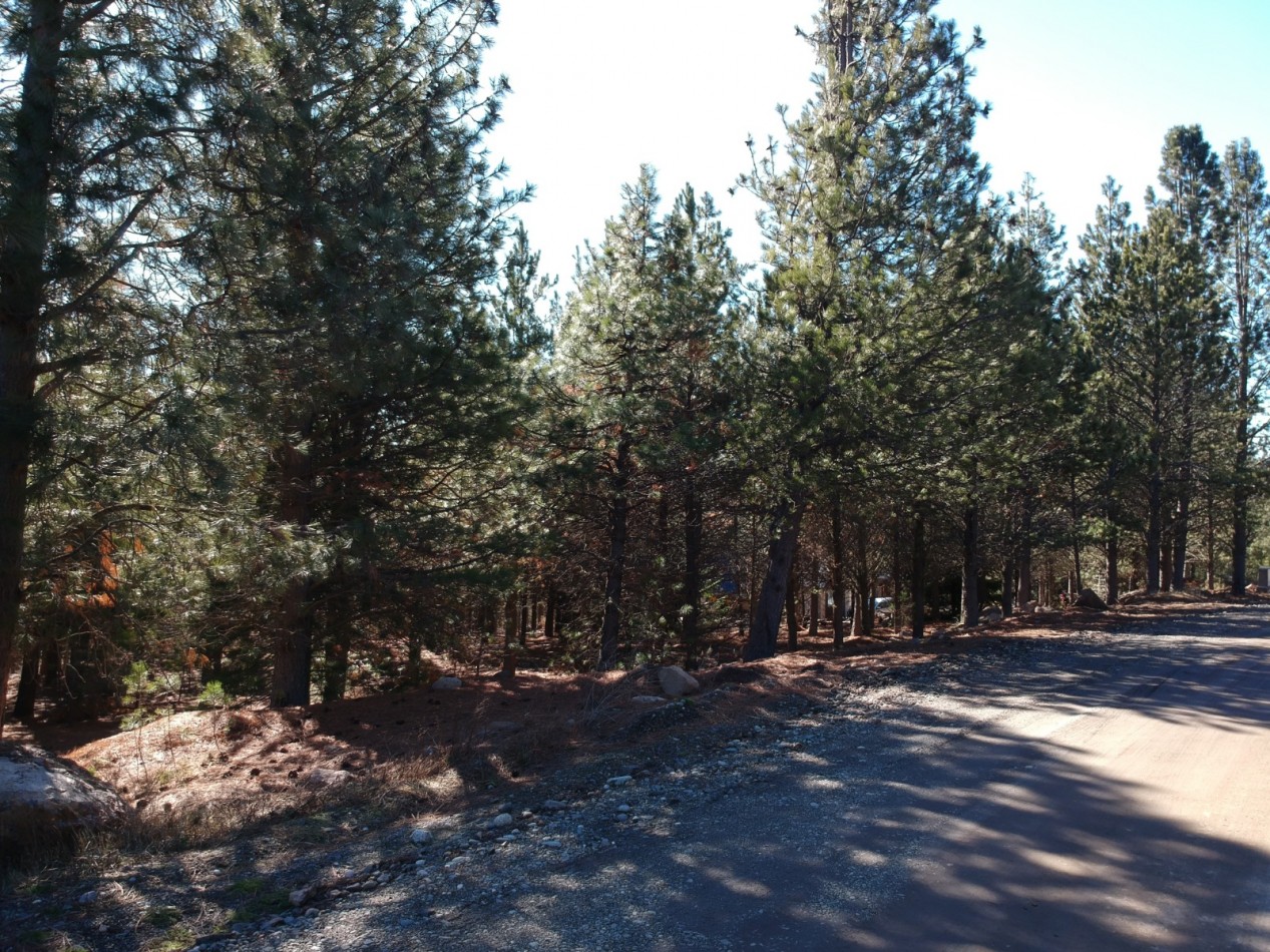 Venta de gran terreno en "El Desafio" San Martin de los Andes, Neuquen