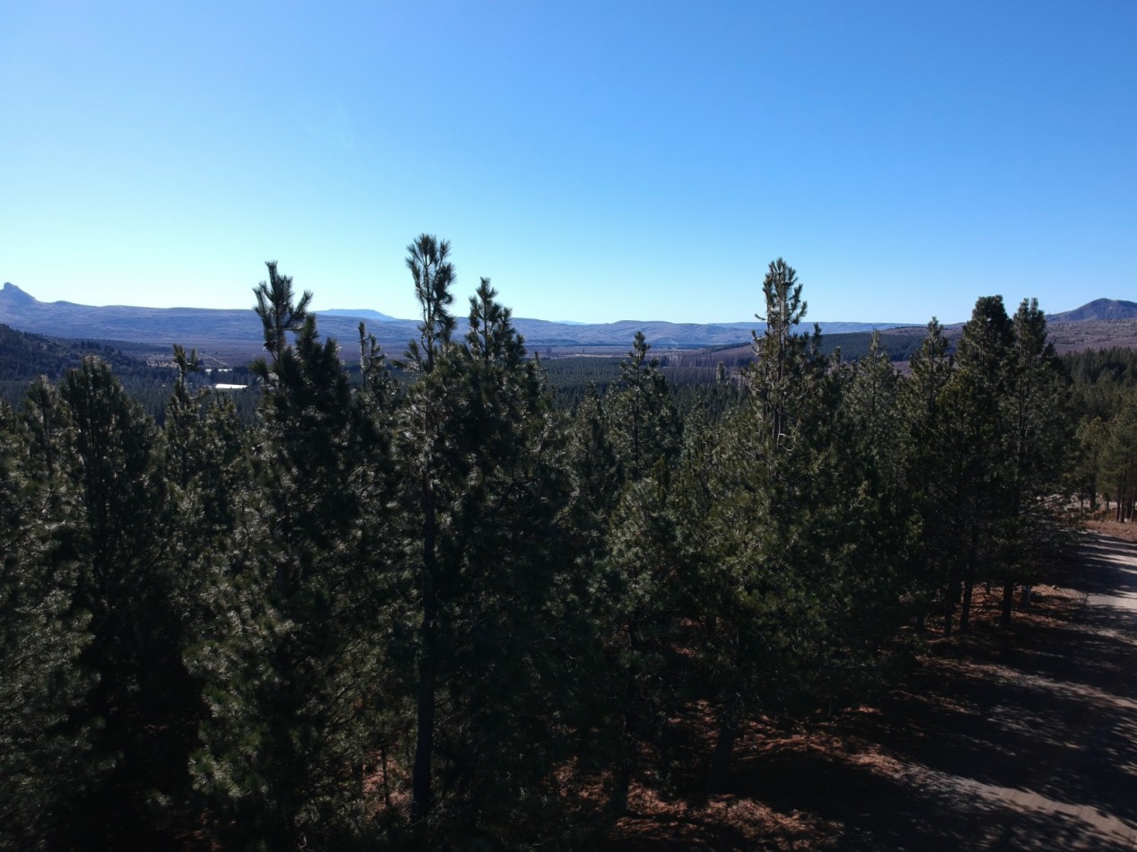 Venta de gran terreno en "El Desafio" San Martin de los Andes, Neuquen