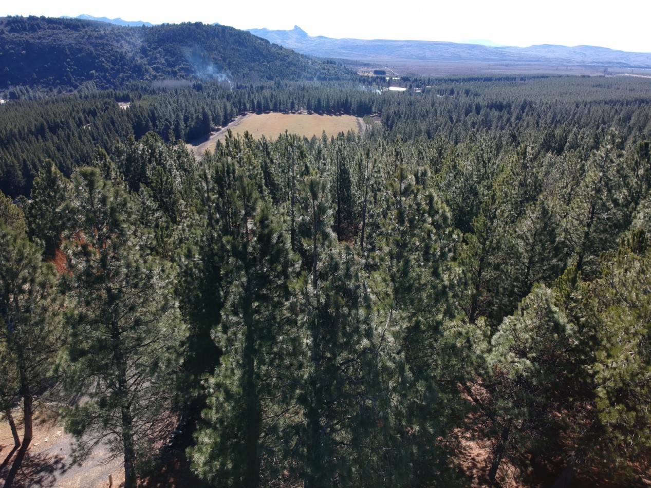 Venta de gran terreno en "El Desafio" San Martin de los Andes, Neuquen