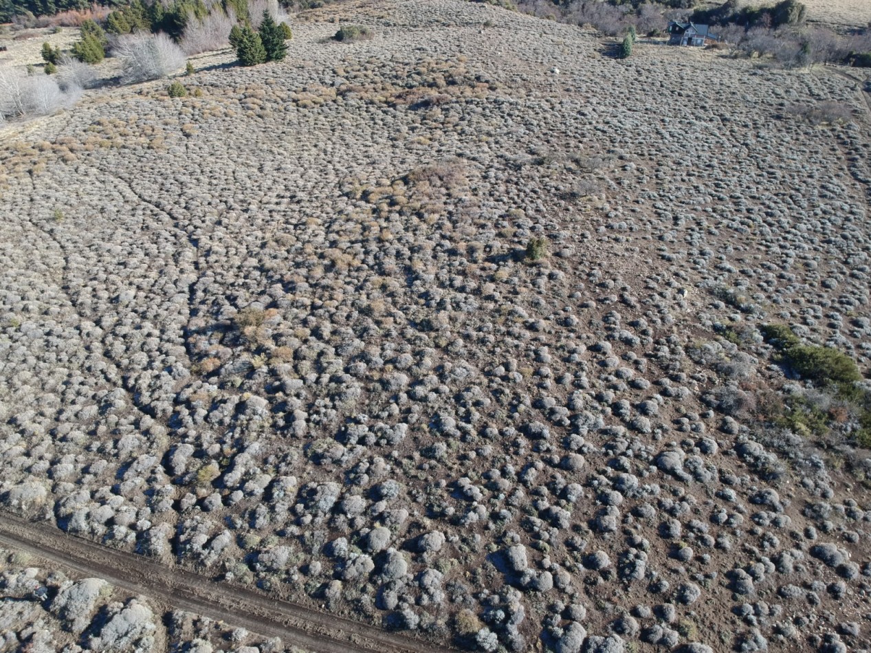 Venta de 2 lotes en Loteo Huechulafquen, Junin de los Andes, Neuquen