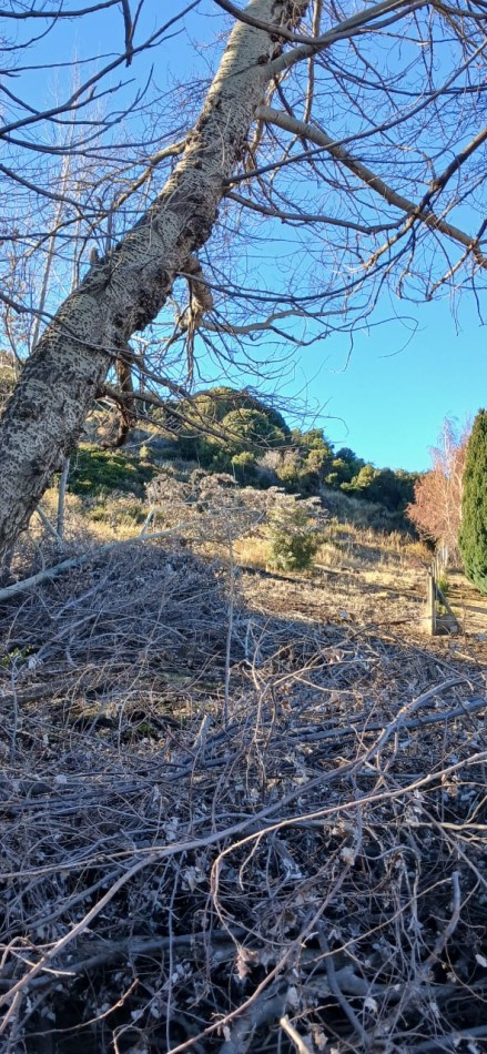 Lote 9 manzana 11 Lago Huechulafquen, Junin de los Andes, Neuquen