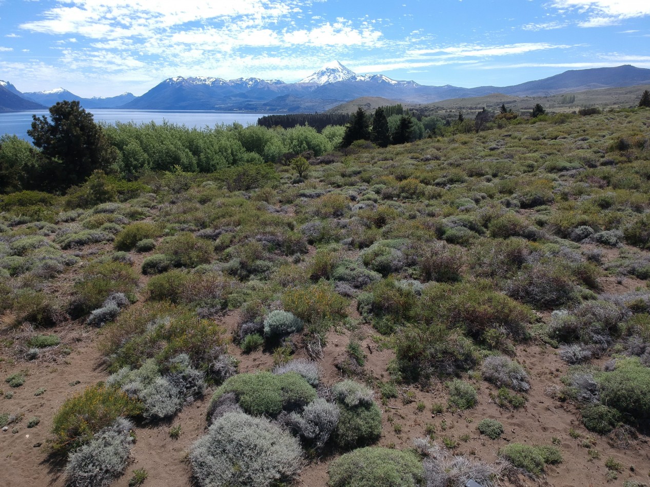 Hermoso Terreno en esquina cerca del Lago Huechulafquen, Junin de los Andes, Neuquen