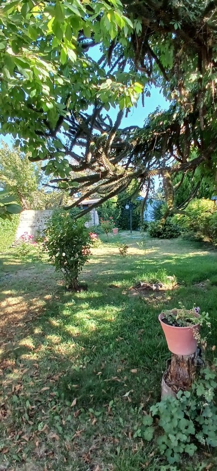 Oportunidad casa 3 dormitorios 2 baños en Junin de los Andes, Neuquen