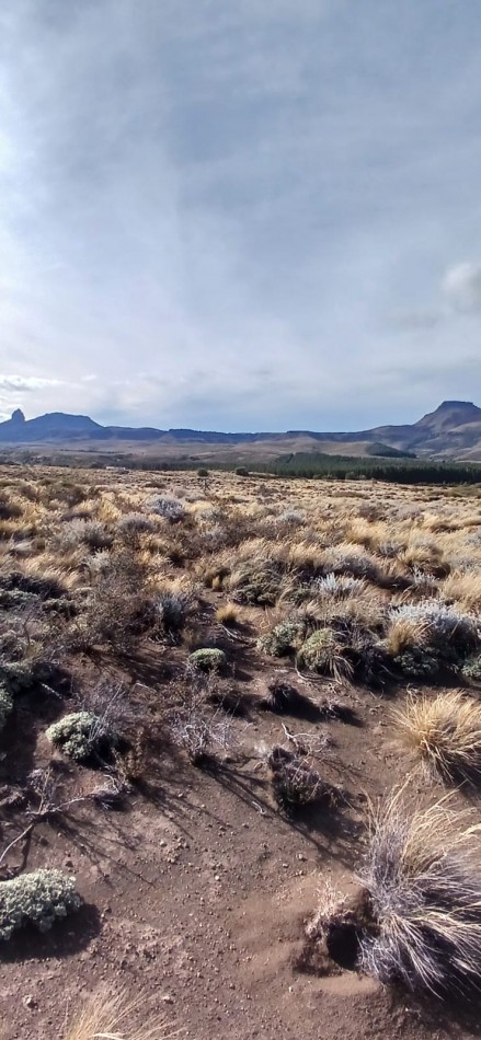 3000 m2 Loteo Huechulafquen, Junin de los Andes, Neuquen