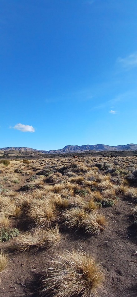 3000 m2 Loteo Huechulafquen, Junin de los Andes, Neuquen