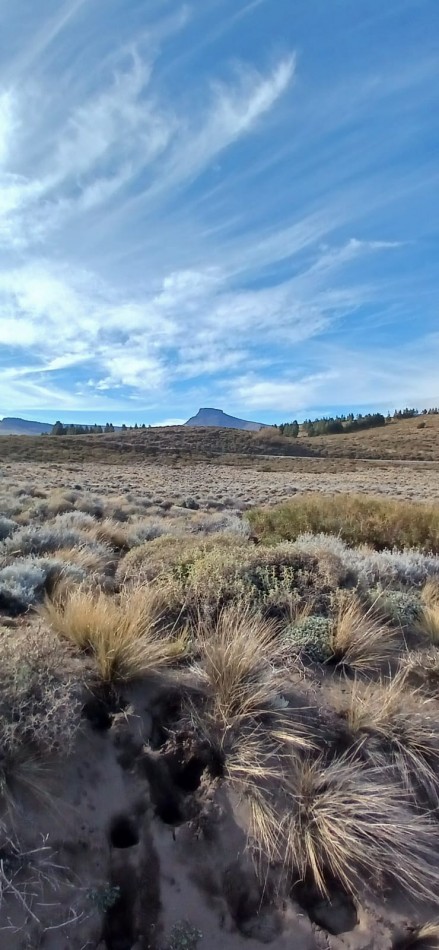 Terreno de 2600 m2  Muy cercano al Lago huechulafquen, Junin de los Andes, Neuquen