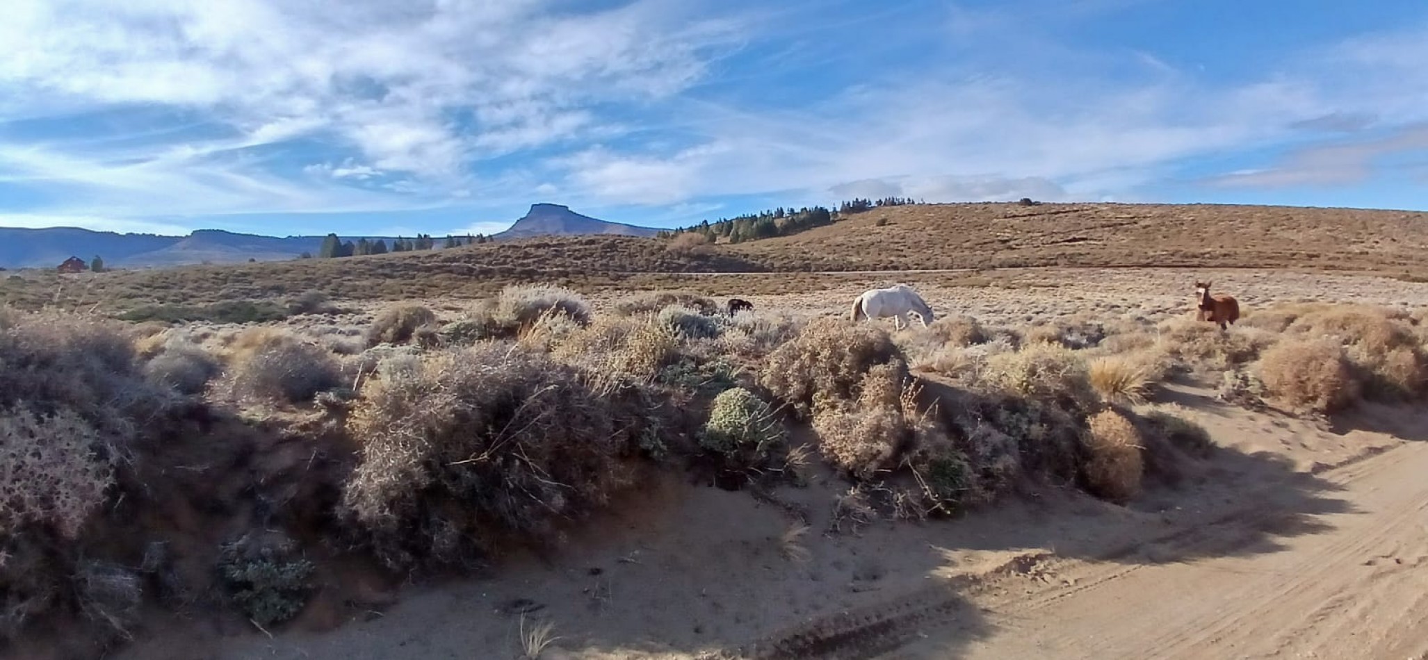 Terreno de 2600 m2  Muy cercano al Lago huechulafquen, Junin de los Andes, Neuquen