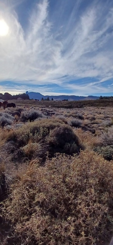 Terreno de 2600 m2  Muy cercano al Lago huechulafquen, Junin de los Andes, Neuquen