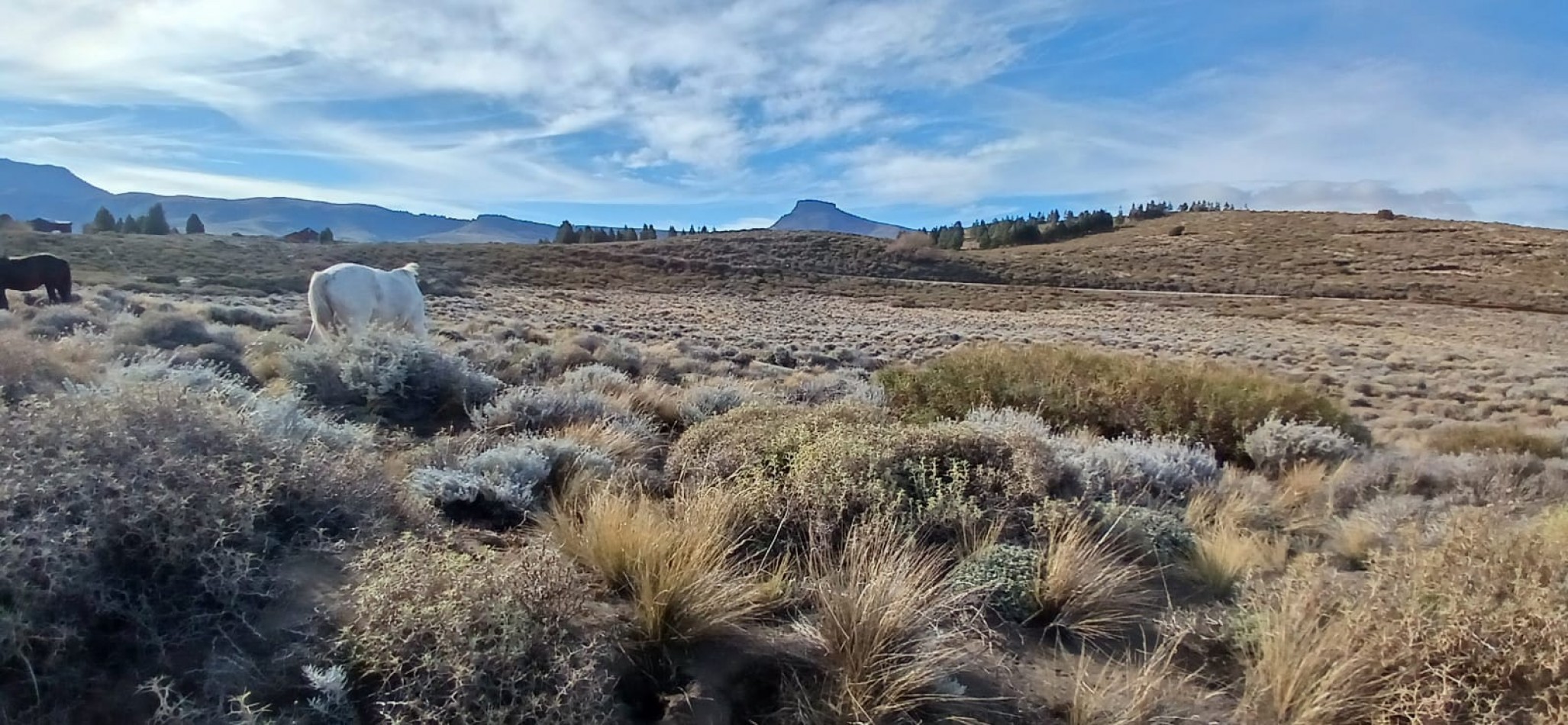 Terreno de 2600 m2  Muy cercano al Lago huechulafquen, Junin de los Andes, Neuquen