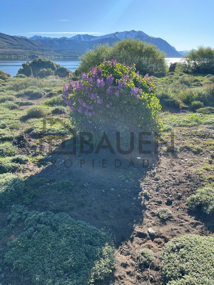 3 Hermosas cabañas frente al lago Huechulafquen en Junin de los Andes - Neuquen