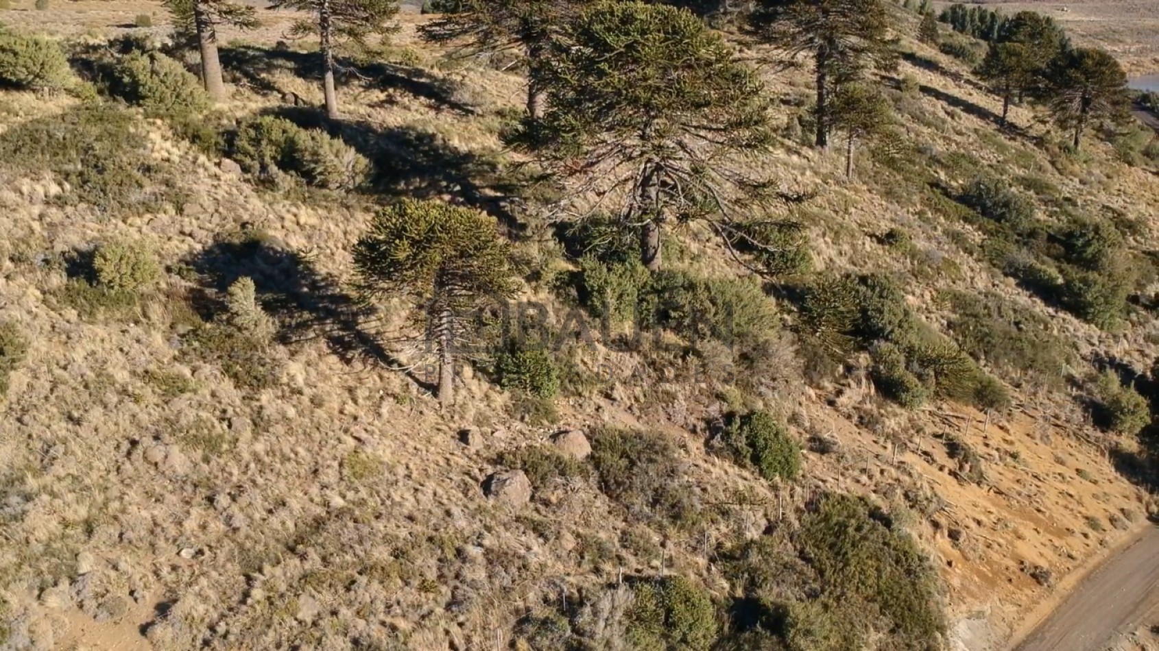 Unicos lotes frente al lago Huechulafquen, Junin de los Andes, Neuquen