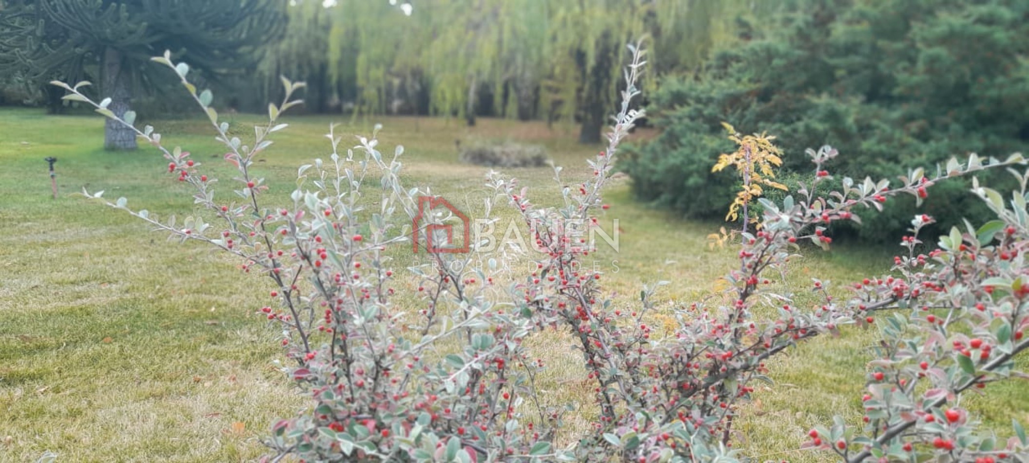 Espectacular propiedad en venta Barrio Jardines del Chimehuin Junin de los Andes - Neuquen