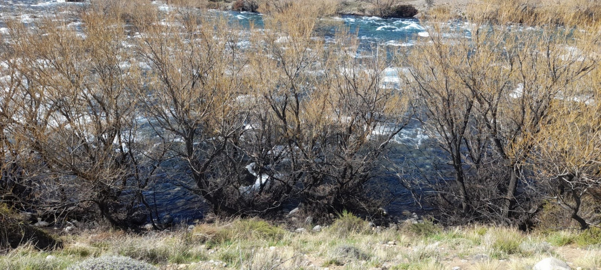 Lote de 6000 mts en Loteo Lago Huechulafquen con frente al Rio Chimehuin, Junin de los Andes, Neuquen