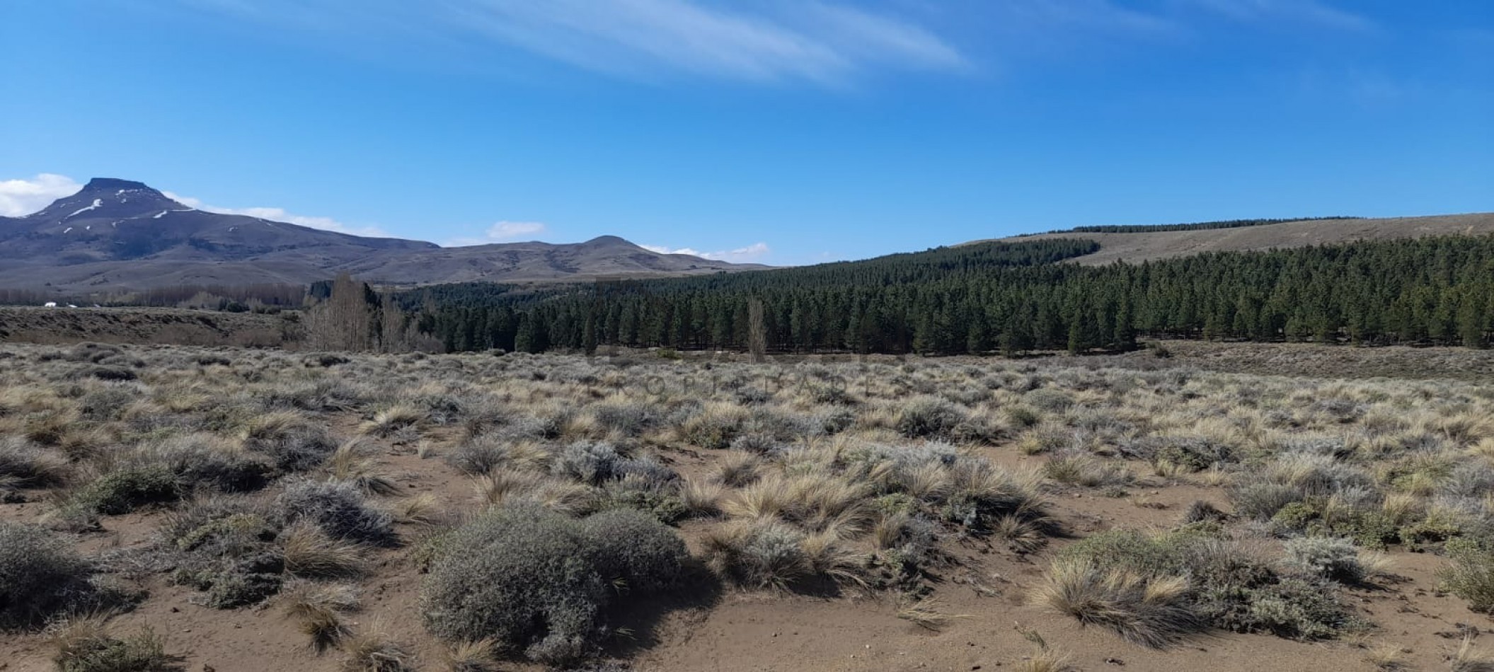 Lote de 6000 mts en Loteo Lago Huechulafquen con frente al Rio Chimehuin, Junin de los Andes, Neuquen