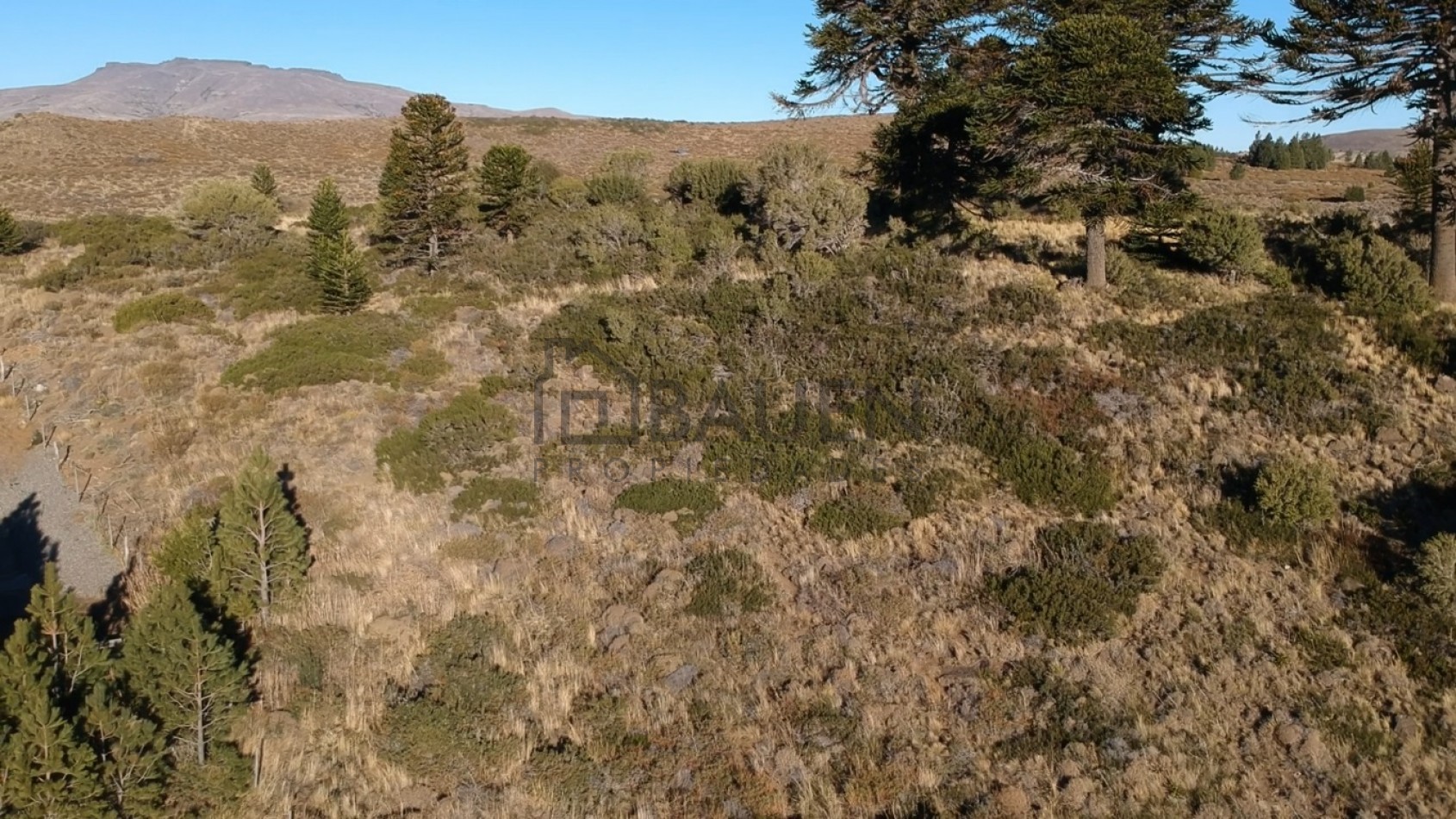 Unicos lotes frente al lago Huechulafquen, Junin de los Andes, Neuquen