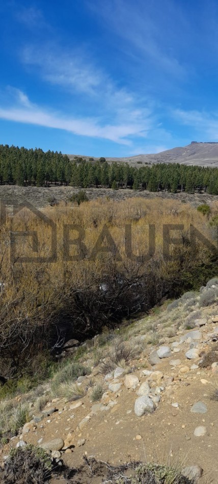 Lote de 6000 mts en Loteo Lago Huechulafquen con frente al Rio Chimehuin, Junin de los Andes, Neuquen