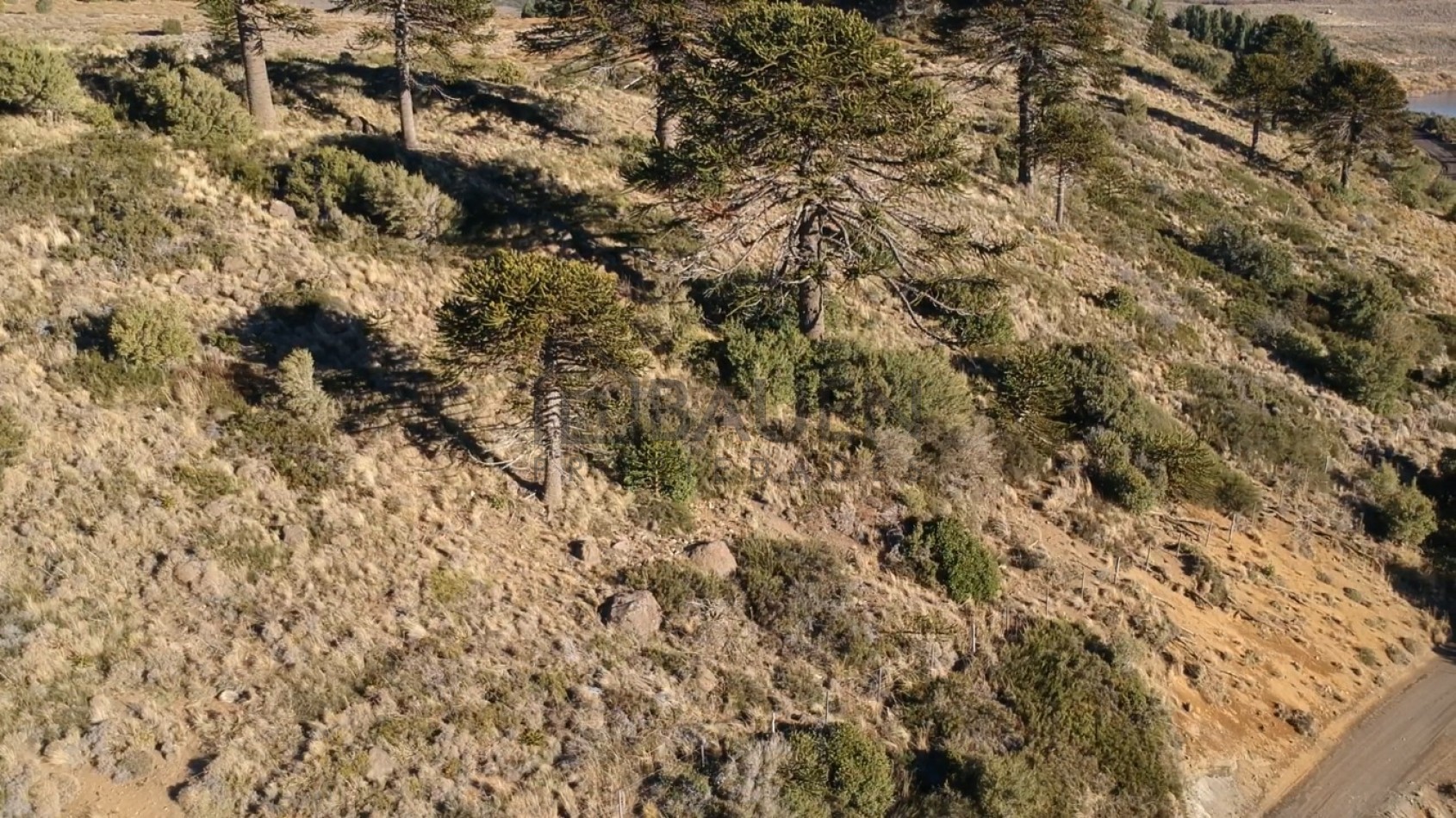 Unicos lotes frente al lago Huechulafquen, Junin de los Andes, Neuquen