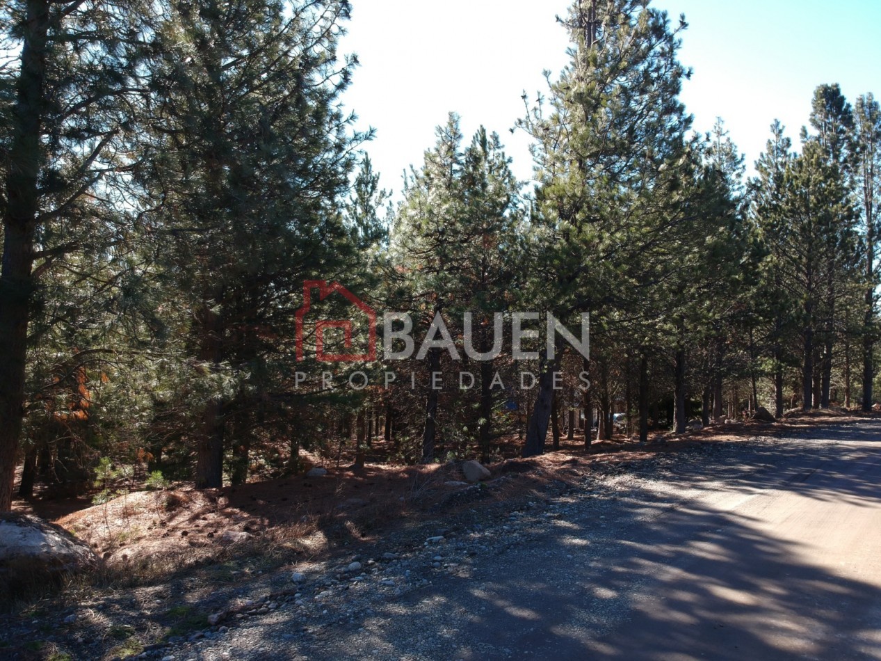 Venta de gran terreno en "El Desafio" San Martin de los Andes, Neuquen