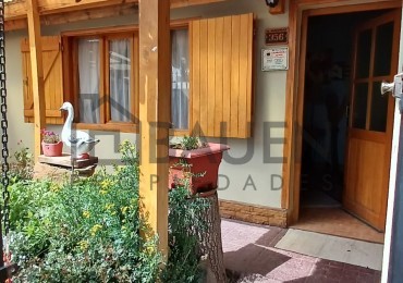 Venta/Permuta Casa + departamento en Junin de los Andes - Neuquen